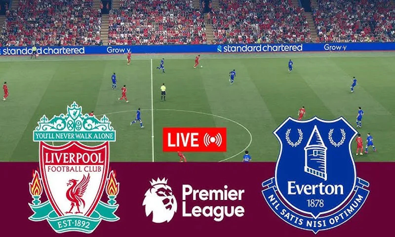 中央五套CCTV5直播预告：篮球足球排球精彩赛事轮番上演